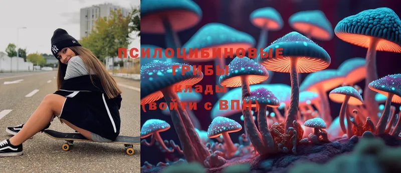 Псилоцибиновые грибы Magic Shrooms  Лодейное Поле 